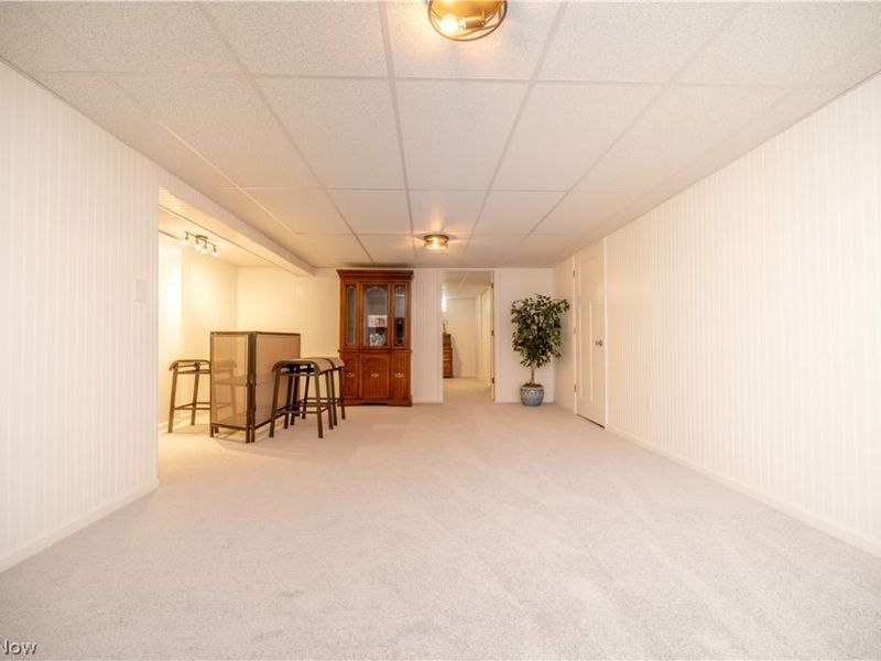 6581 COUNTRY RIDGE Drive, Austintown, OH 44515 Photo 38