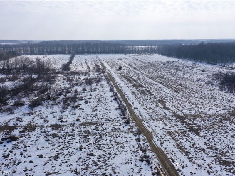 Maple Road, Jefferson, OH 44047 Photo 4