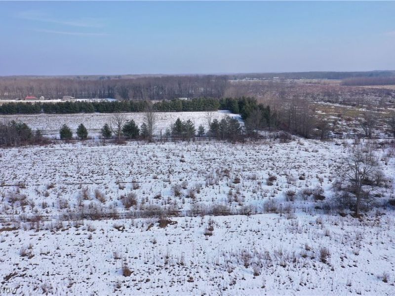 Maple Road, Jefferson, OH 44047 Photo 7