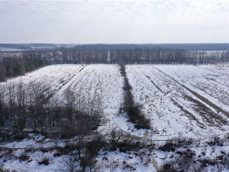 Maple Road, Jefferson, OH 44047 Photo 8