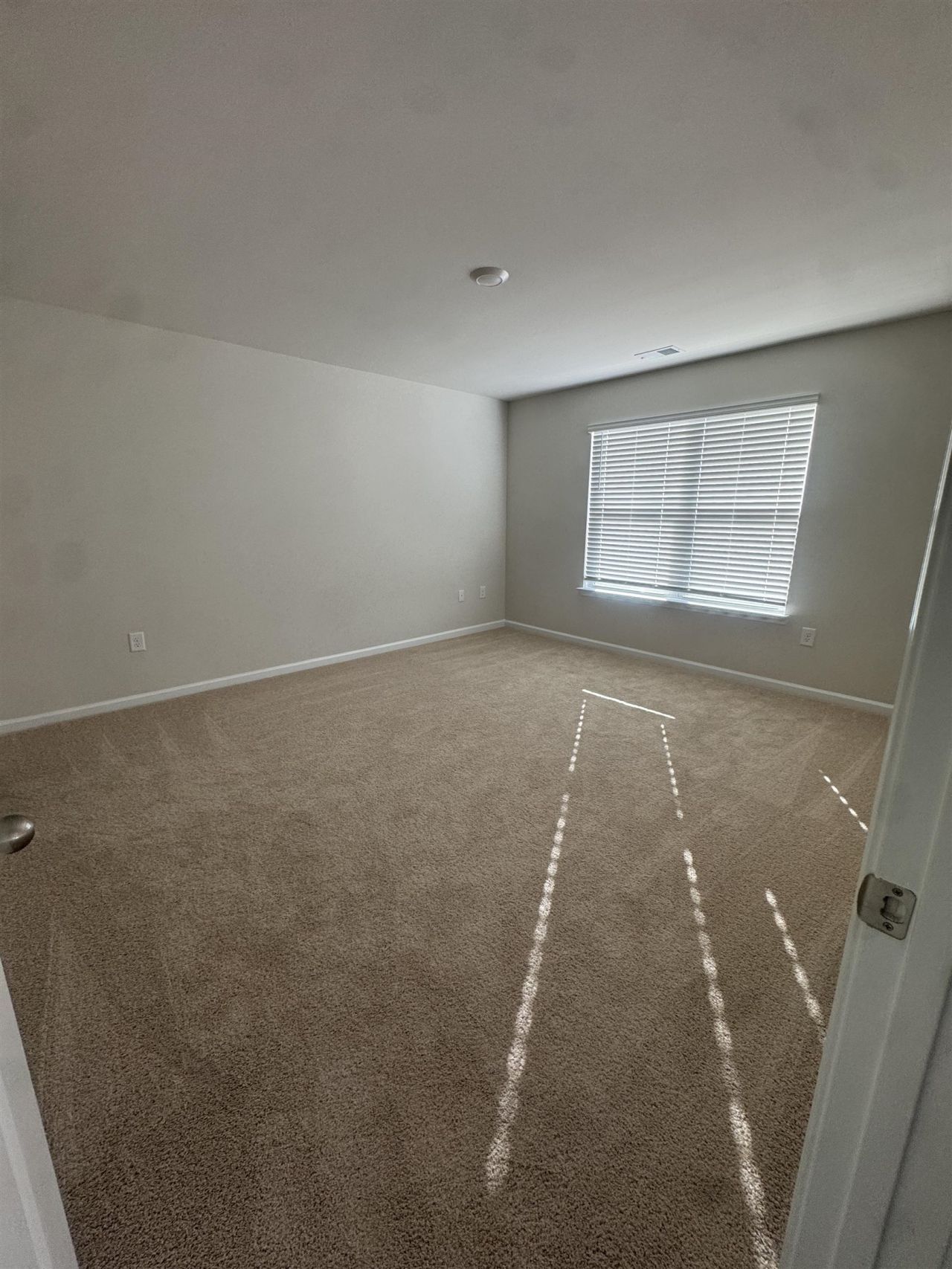 390 Acosta Circle  Photo 10