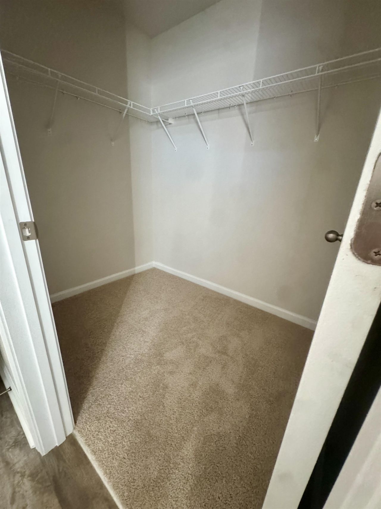 390 Acosta Circle  Photo 13