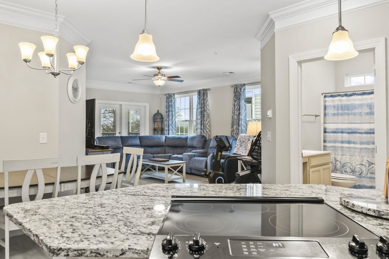 181 Ella Kinley Circle  Photo 13