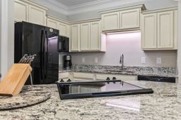 181 Ella Kinley Circle  photo 4