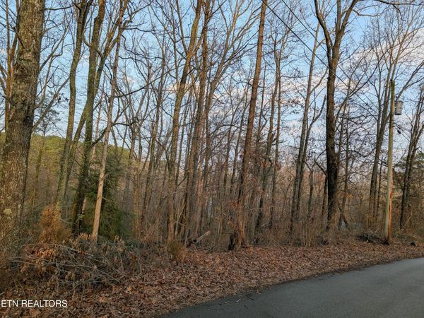 00 Pine Breeze Circle, Rockwood, TN 37854