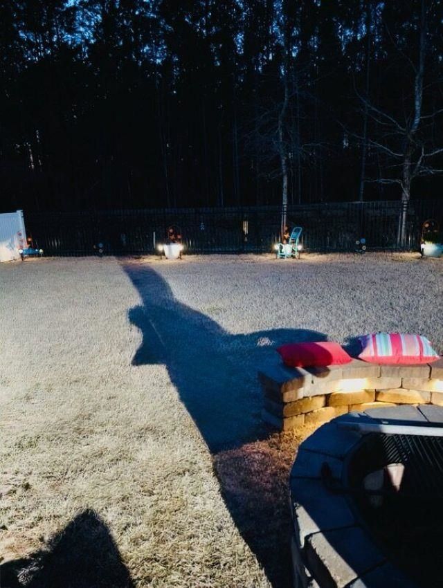 337 Basswood Ct. Photo 28