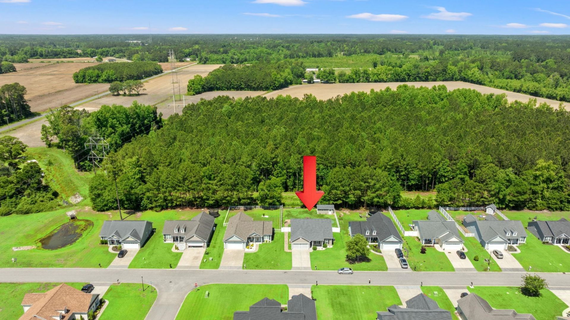 337 Basswood Ct. Photo 50