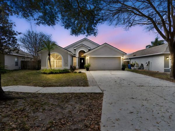 19427 MORDEN BLUSH DRIVE, LUTZ, FL 33558