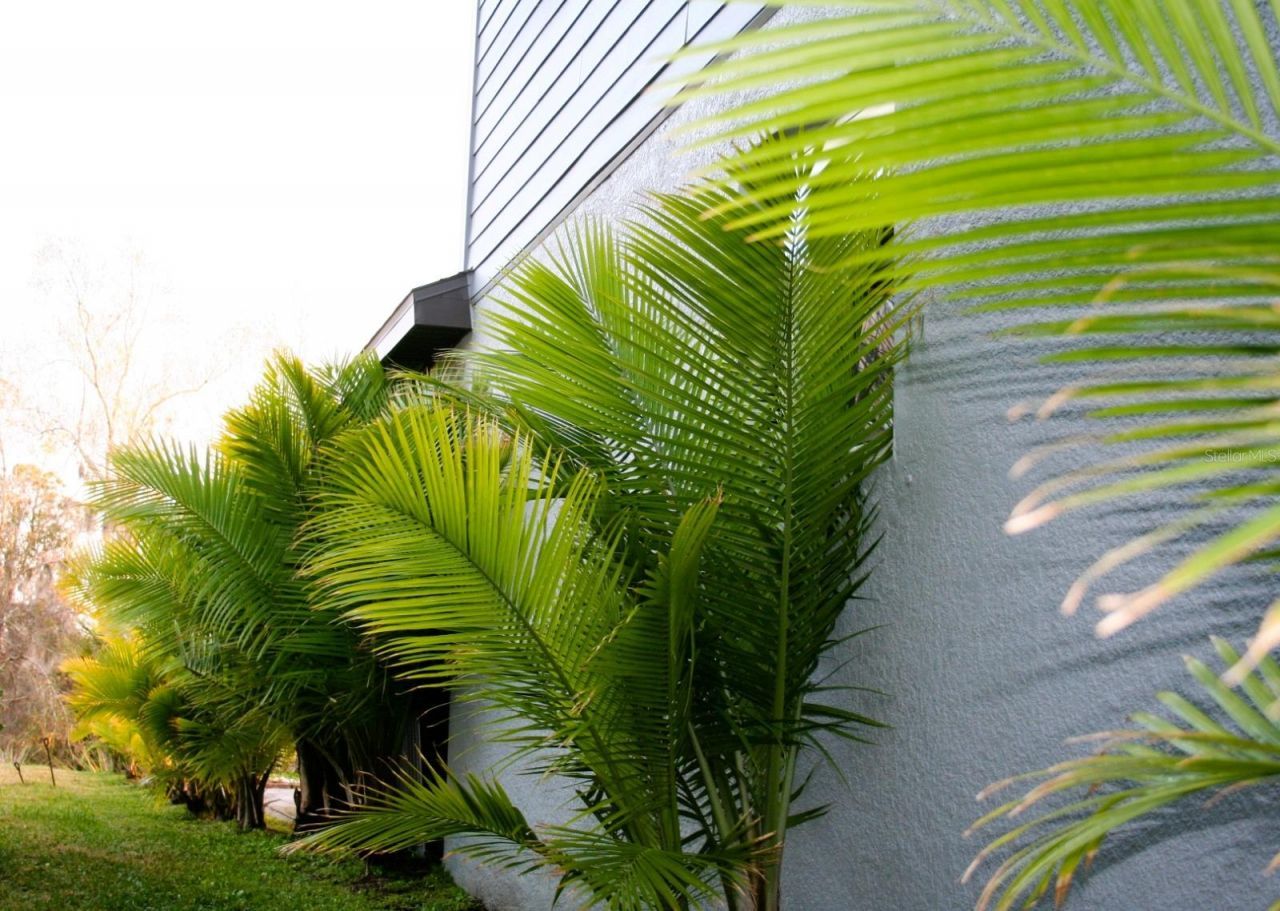 8323 Reefbay Cove, Parrish, FL 34219 Photo