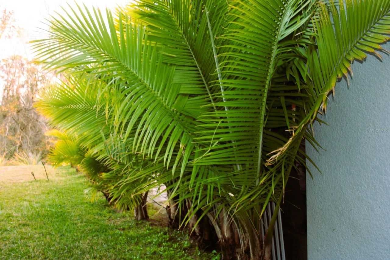 8323 Reefbay Cove, Parrish, FL 34219 Photo