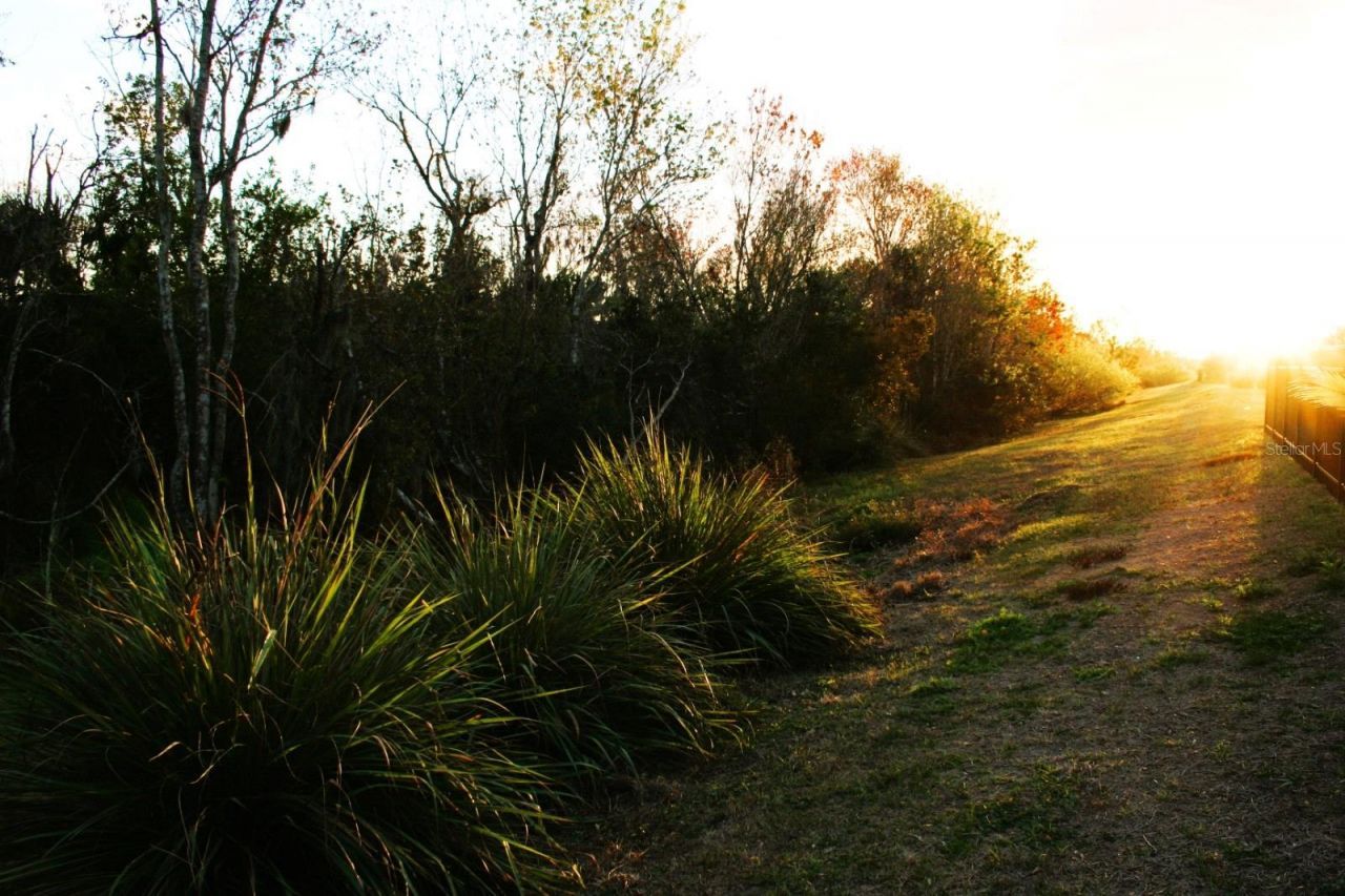 8323 Reefbay Cove, Parrish, FL 34219 Photo