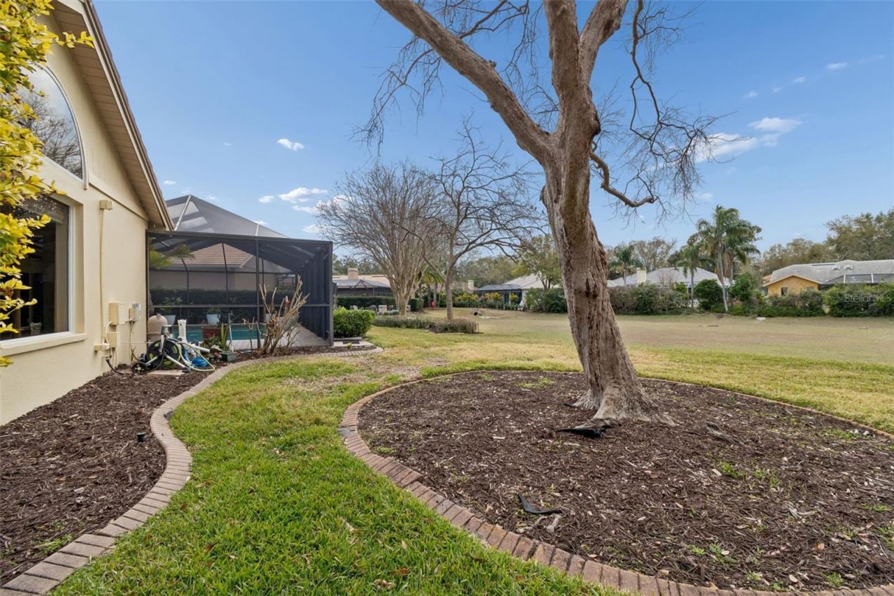 2194 Pinnacle Circle N, Palm Harbor, FL 34684 Photo