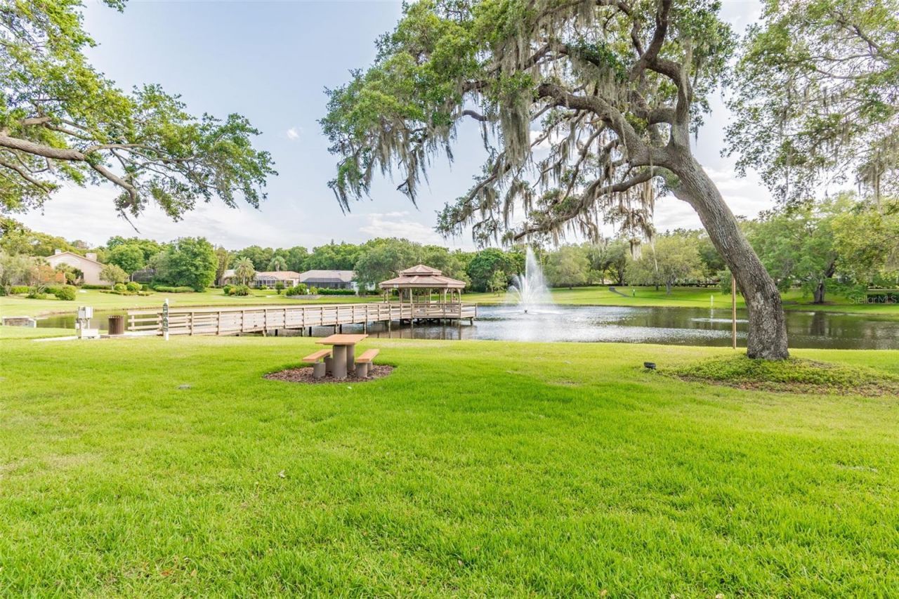 2194 Pinnacle Circle N, Palm Harbor, FL 34684 Photo