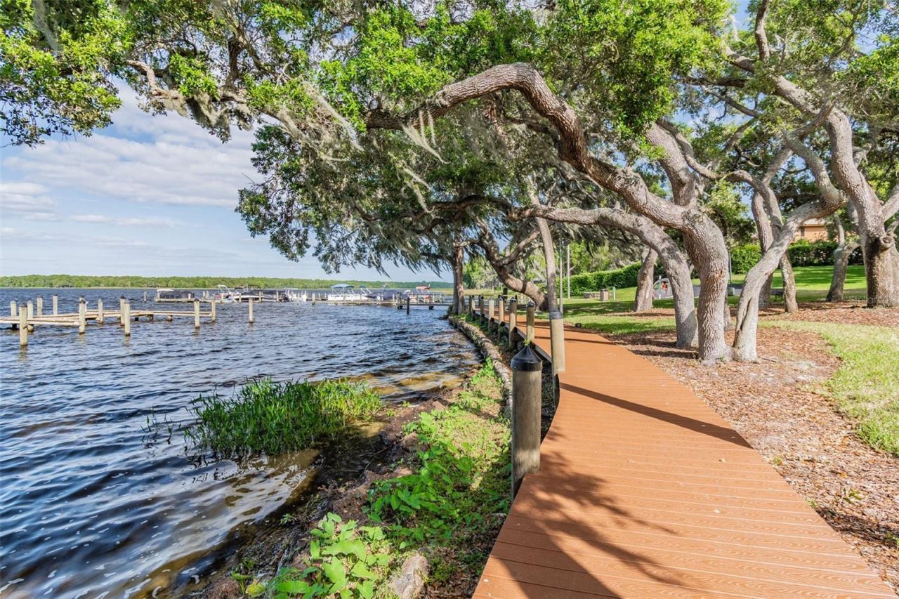 2194 Pinnacle Circle N, Palm Harbor, FL 34684 Photo