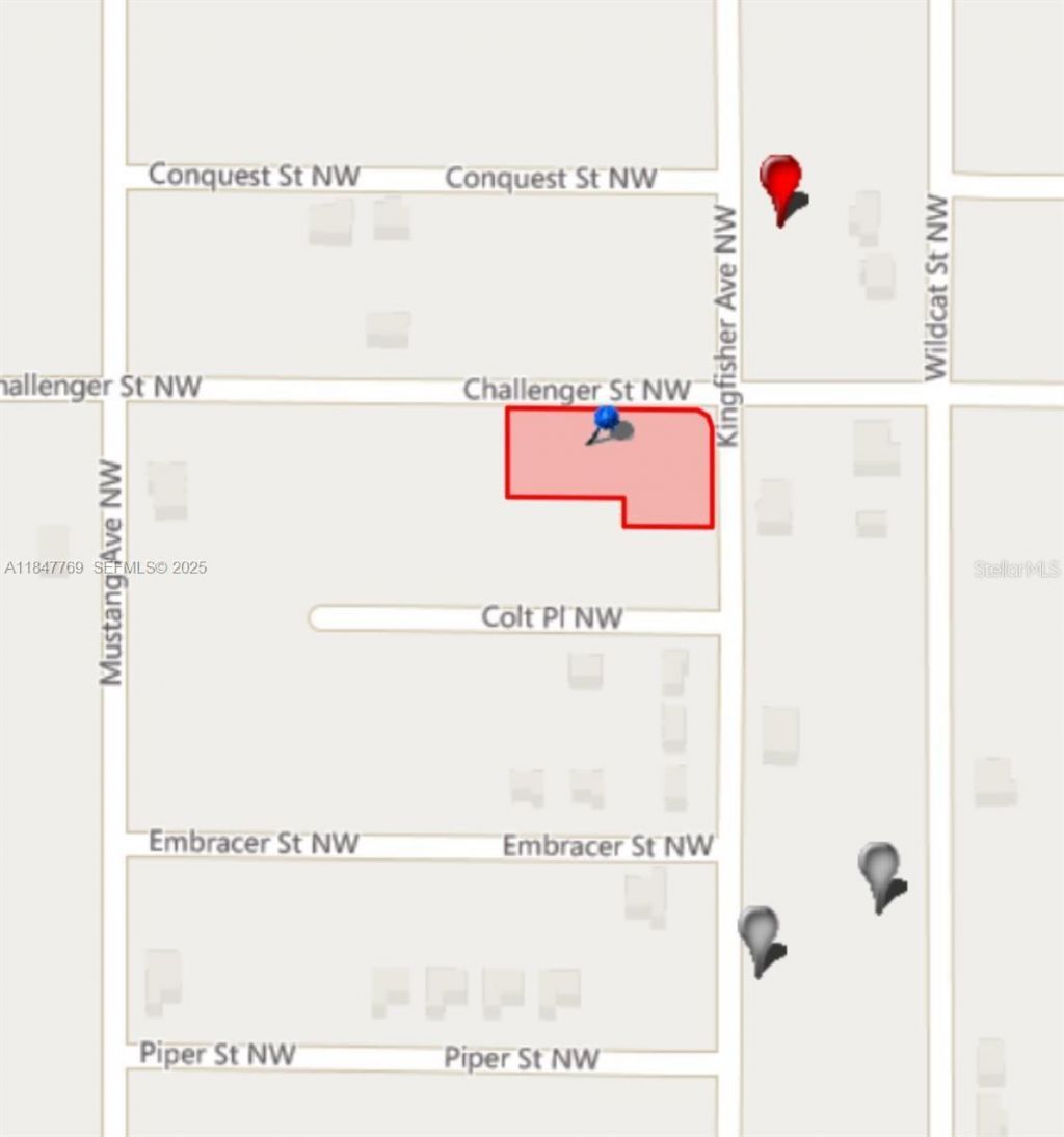 966 Challenger Street Nw, Lake Placid, FL 33852 Photo