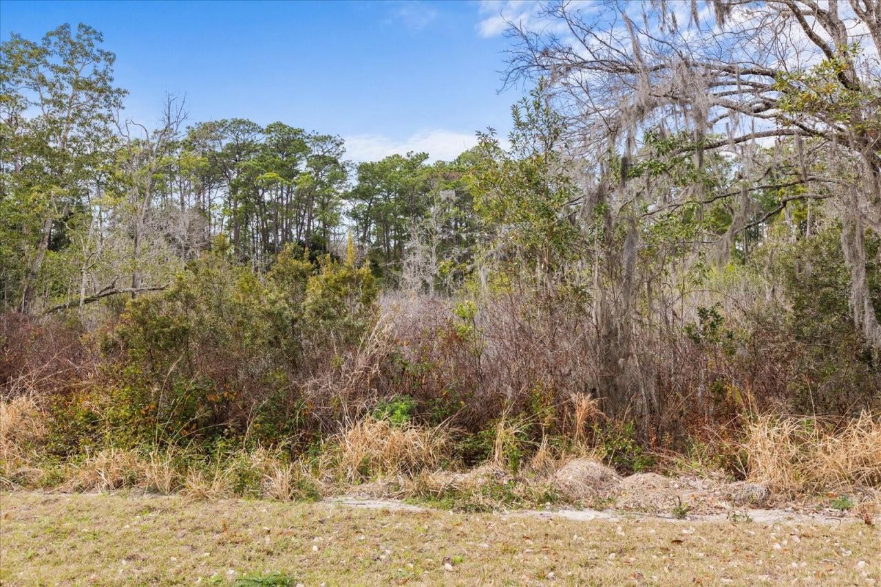 455 Briar Patch Lane, Geneva, FL 32732 Photo