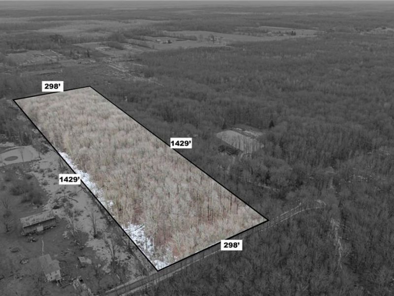 Murphy Road, Thompson, OH 44086 Photo 4