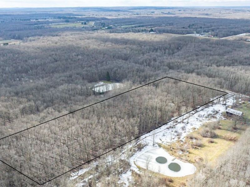 Murphy Road, Thompson, OH 44086 Photo 5