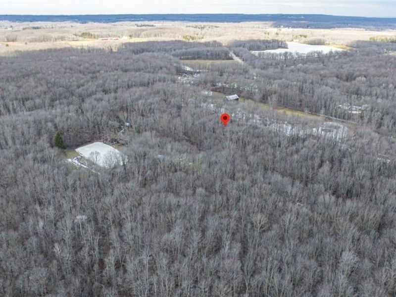 Murphy Road, Thompson, OH 44086 Photo 9