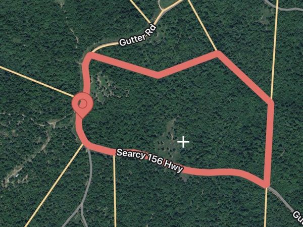 +/- 48.28 Acre 156 Highway, Harriet, AR 72639
