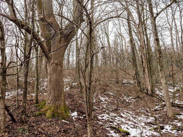 Lot 1 Huey Run Road, Mannington, WV 26582