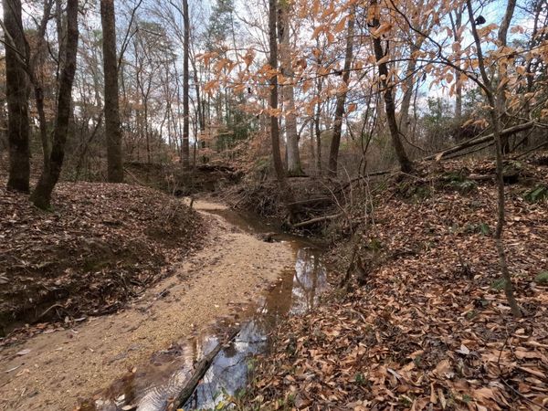 Saint John Road Road, Braxton, MS 39044