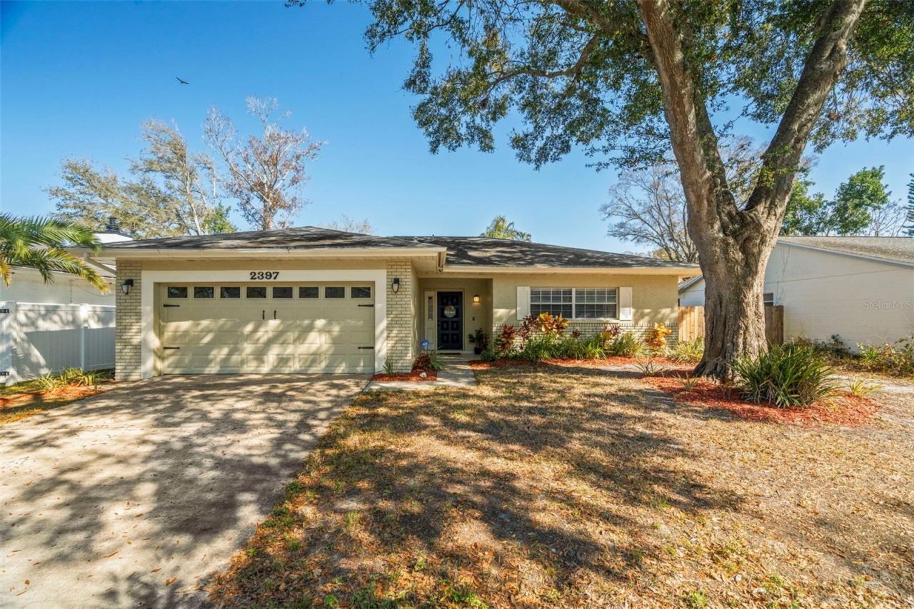 2397 E Orangehill Avenue, Palm Harbor, FL 34683 Main Photo