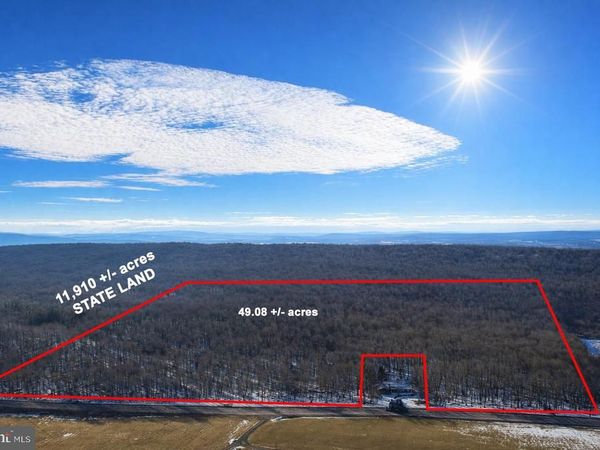 49.08 Acres MARYLAND HIGHWAY, SWANTON, MD 21561