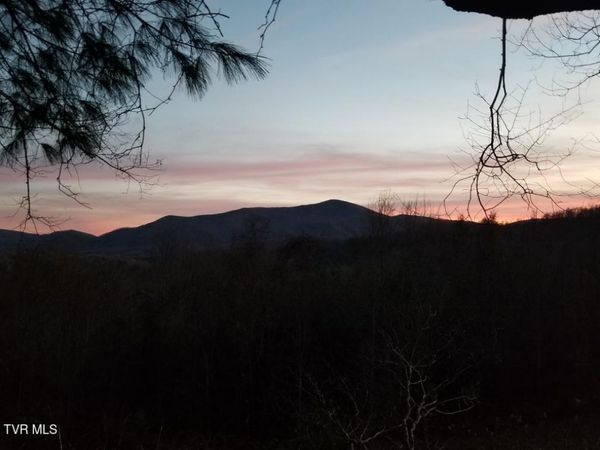 Tbd Bear Branch Road, Roan Mountain, TN 37687