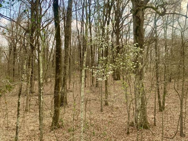 0 Warwick Road, Clinton, MS 39056