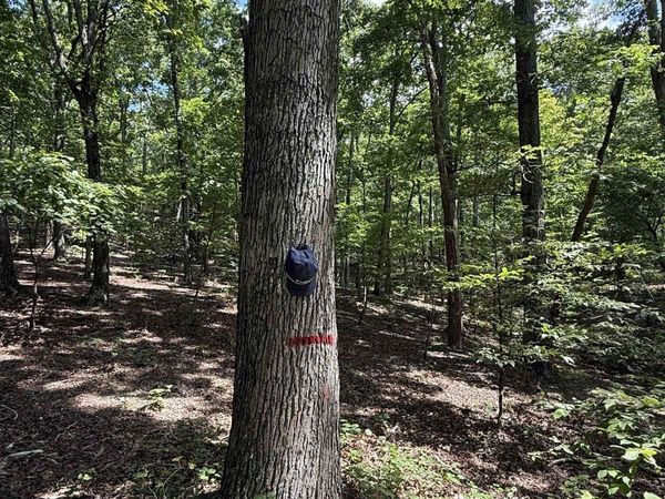 000 HERNDON CEMETERY RD, Big Sandy, TN 38221