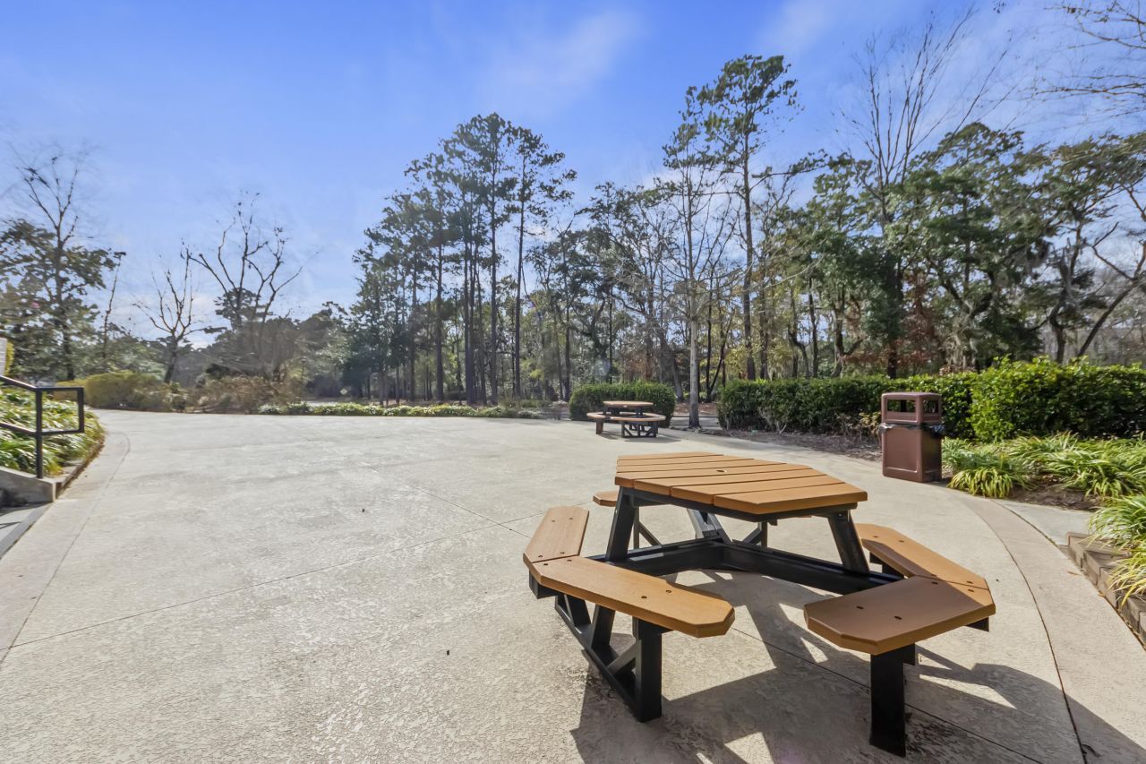 9905 Winged Elm Street Photo 46