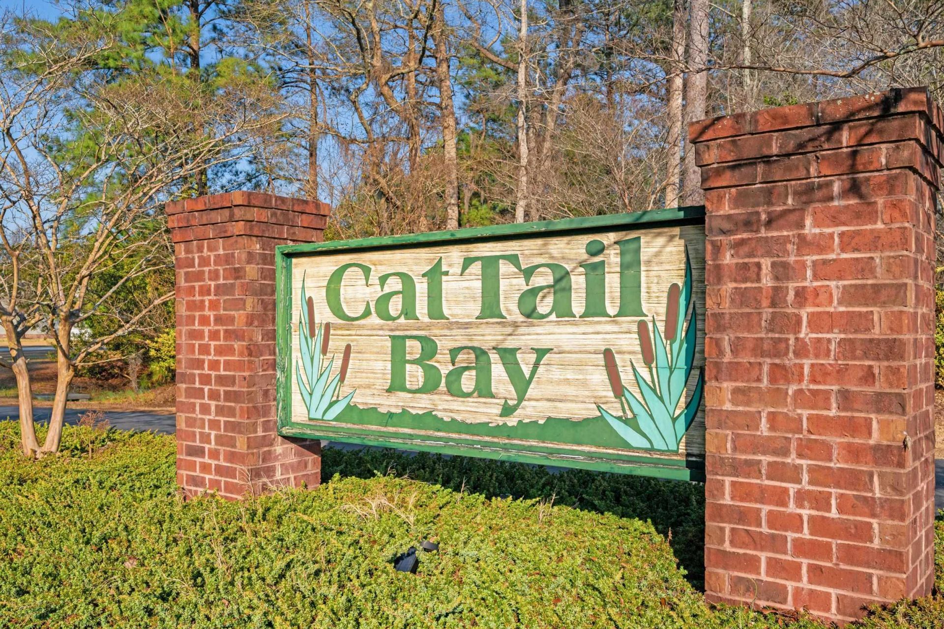 226 Cat Tail Bay Dr. Photo 30