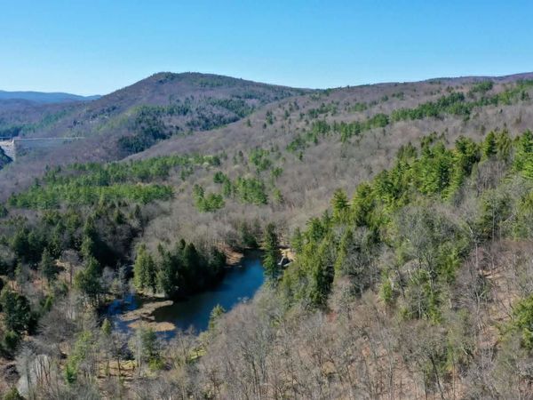 00 Turkey Mountain Road, Jamaica, VT 05343
