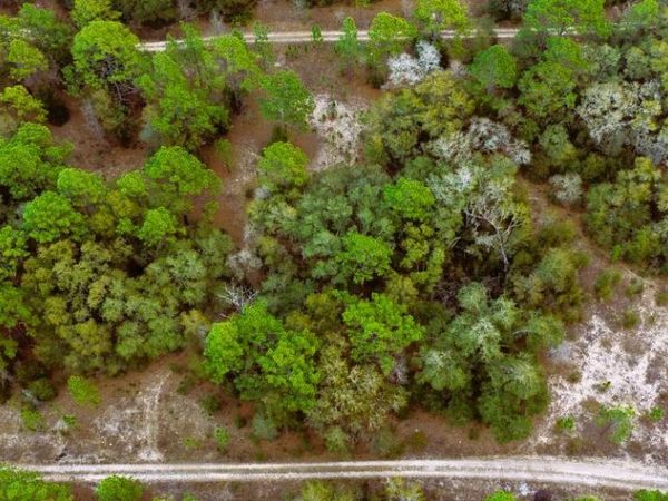 Lot 18 Sw 152nd Terrace, Ocala, FL 34481