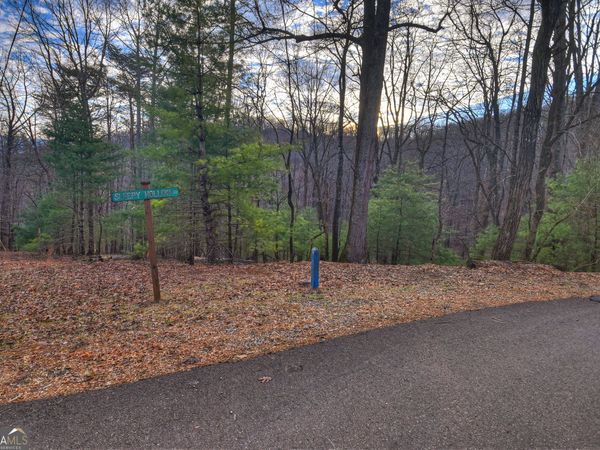 LT M57 Walnut Mountain Court, Ellijay, GA 30536