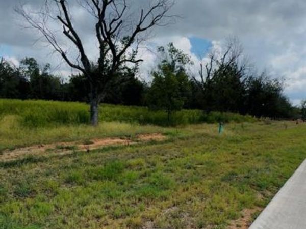 1036 E Landings N, Granbury, TX 76049