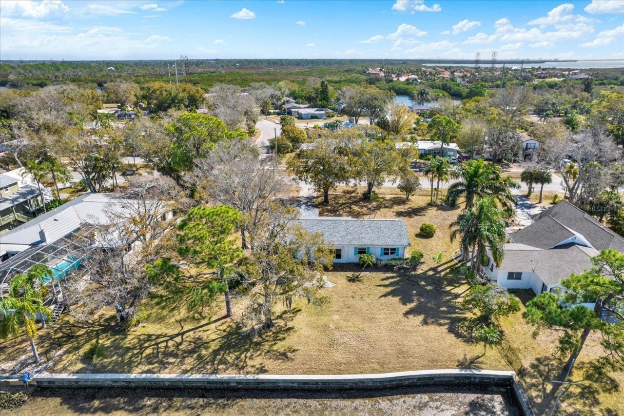 400 Shore Drive E, Oldsmar, FL 34677 Photo