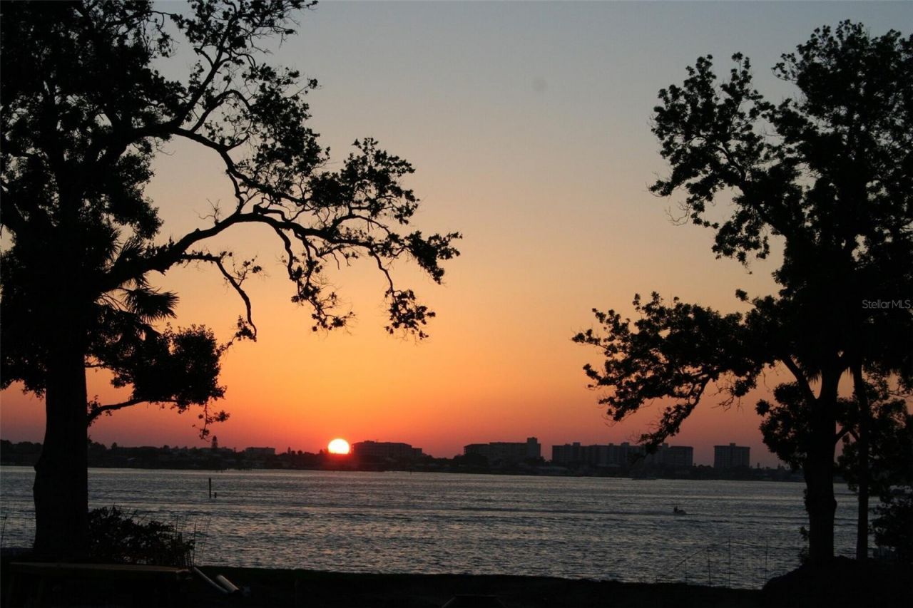 300 Palm Bluff Street, Clearwater, FL 33755 Photo