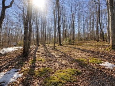 0 Redwood Drive, Terra Alta, WV 26764