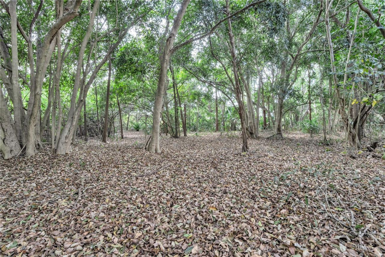 14181 35th Place N, Loxahatchee, FL 33470 Photo