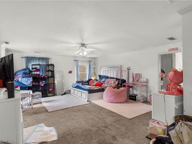 925 Colonial Drive, Youngstown, OH 44505 Photo 16