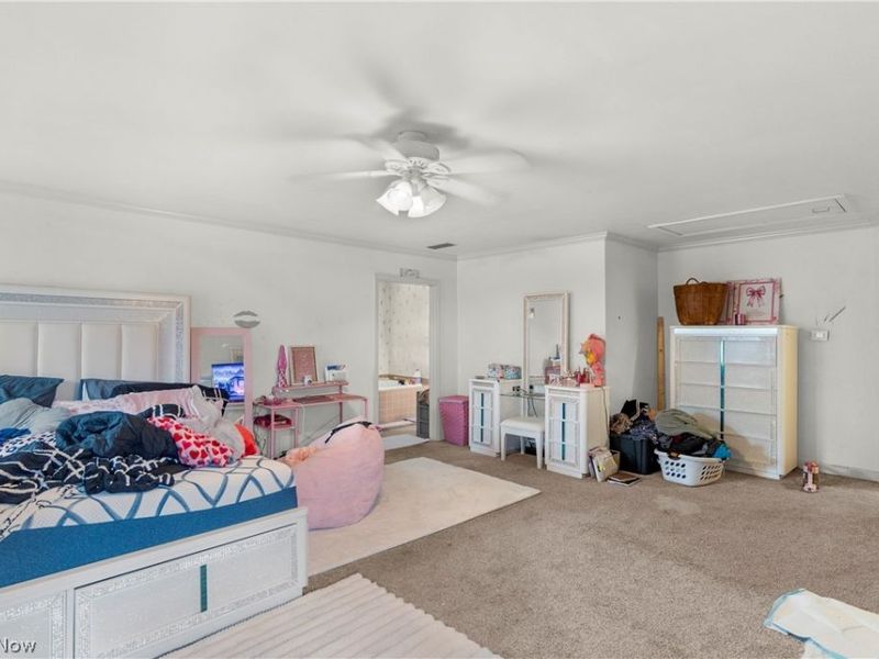 925 Colonial Drive, Youngstown, OH 44505 Photo 23