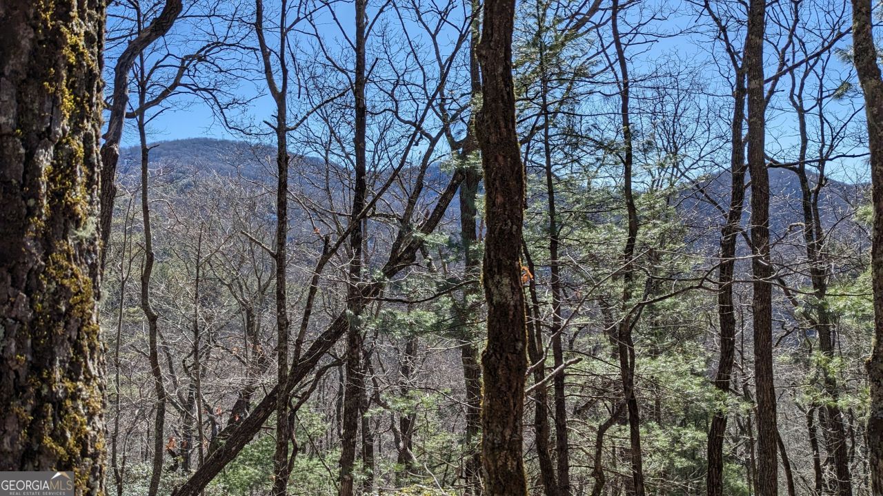 0 Lot 111 Ridgepole Drive, Sky Valley, GA 30537 Main Photo