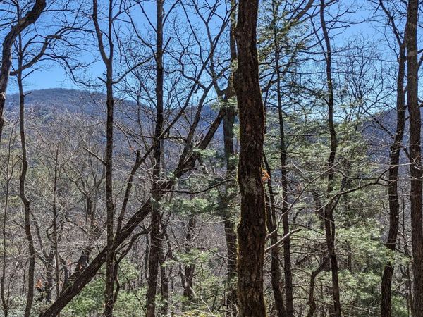 0 LOT 111 Ridgepole Drive, Sky Valley, GA 30537