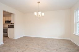 1036 Tee Shot Dr.  photo 4