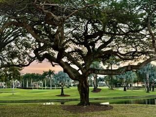 2518 2518 Coco Plum Blvd., Unit 1202, Boca Raton, FL 33496 Photo