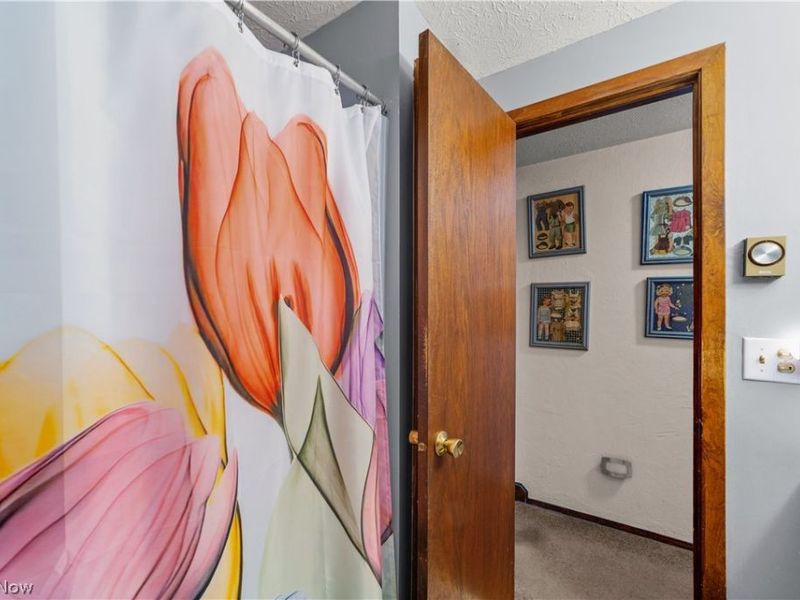 129 Hidden Tree Lane, Amherst, OH 44001 Photo 13