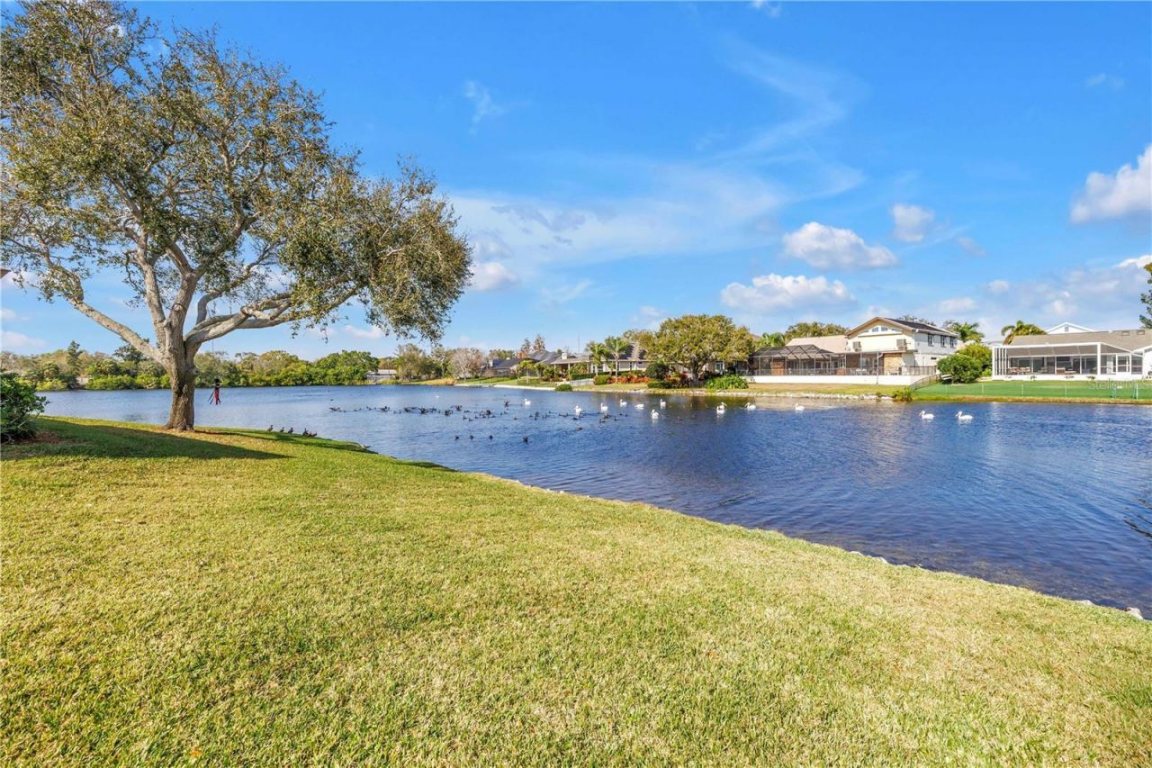 771 Suwannee Court Ne, Saint Petersburg, FL 33702 Photo