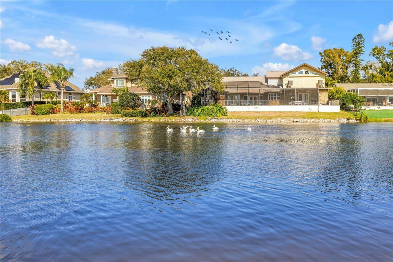 771 Suwannee Court Ne, Saint Petersburg, FL 33702 Photo